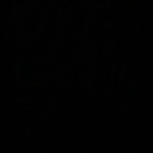 Meet your Posher, Ariel